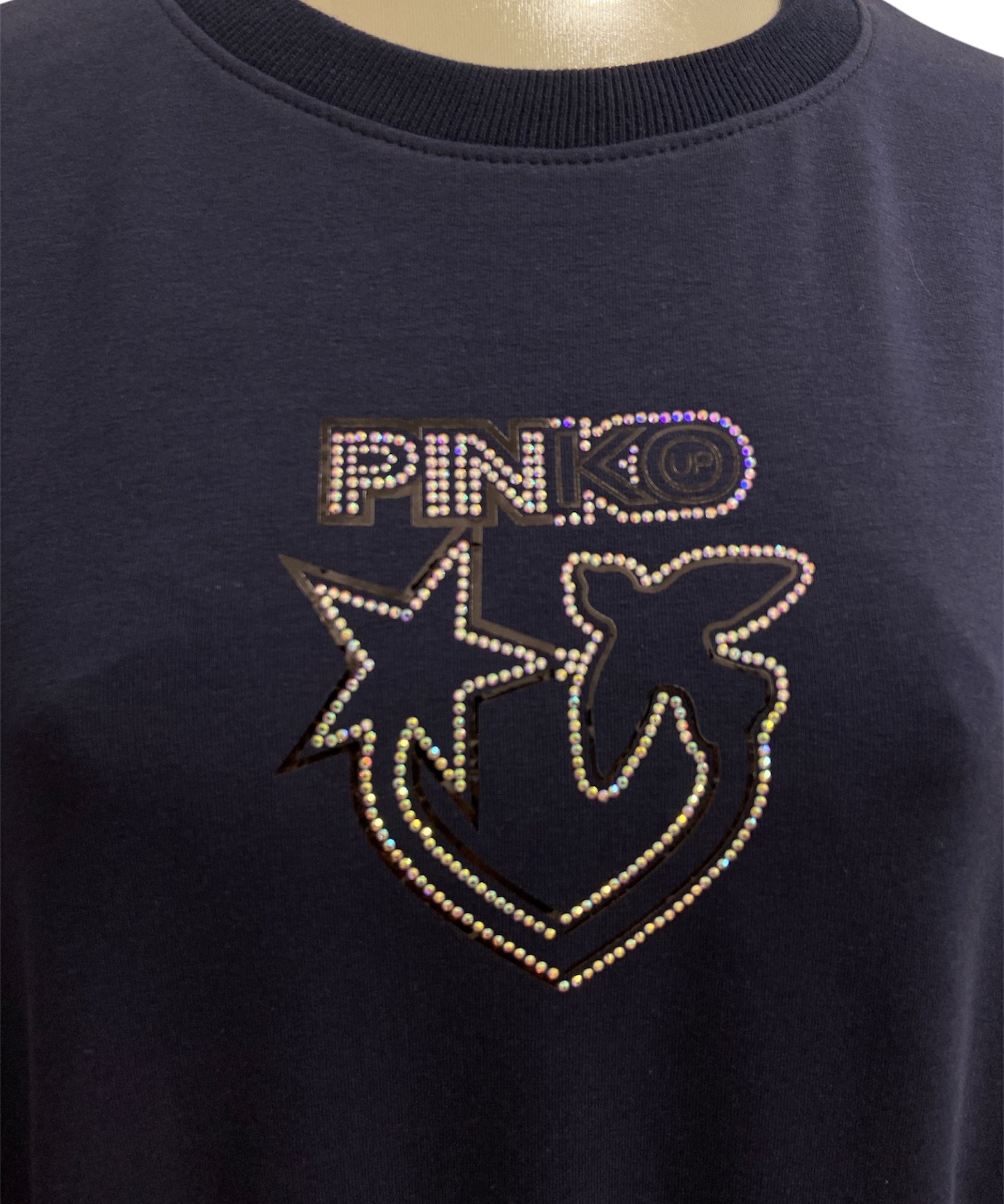 Pinko Up sweatshirt