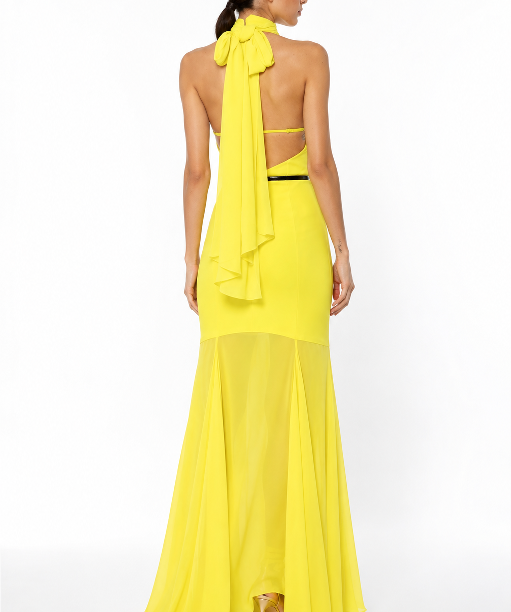 Cedro Red Carpet Elisabetta Franchi Dress