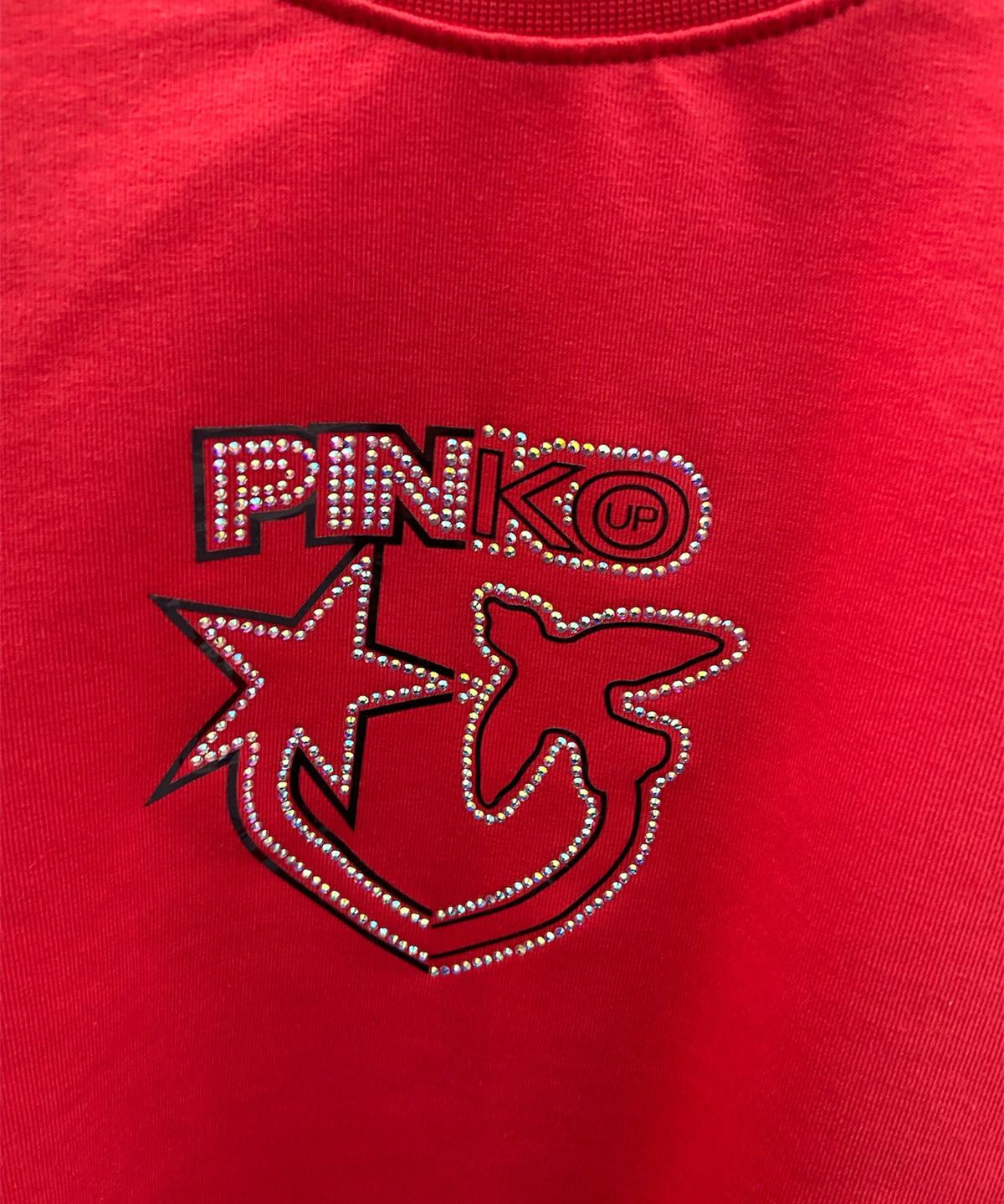 Pinko Up sweatshirt